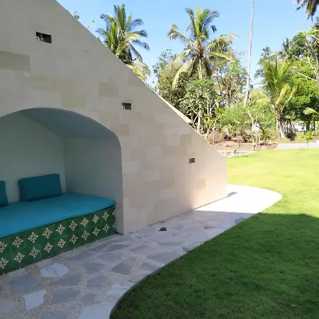 Palmterrace