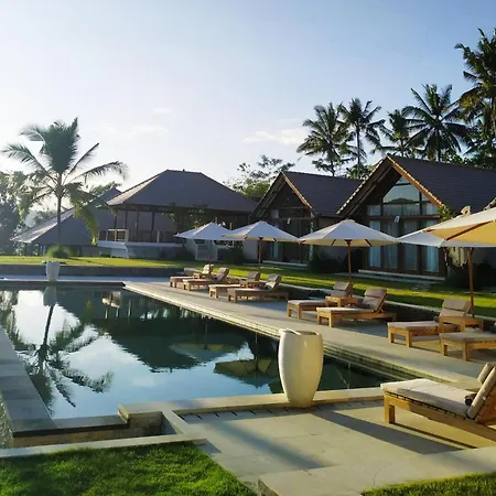Palmterrace Hotel