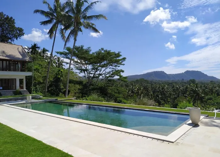 Palmterrace *