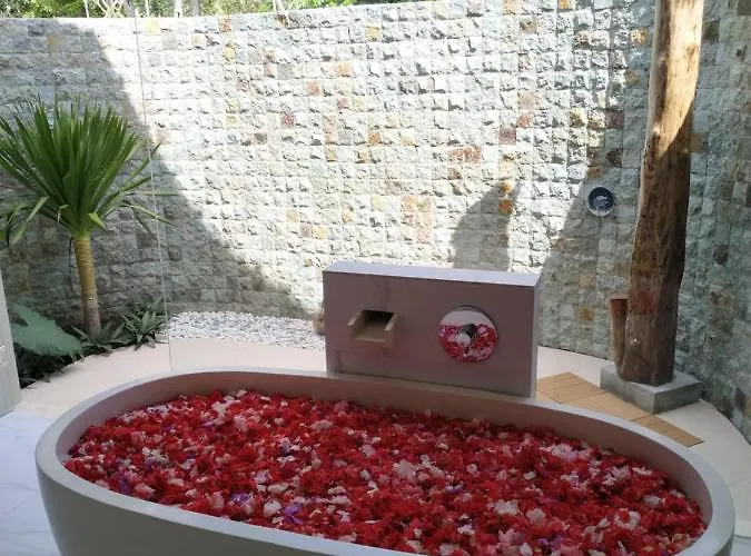 Palmterrace Chulik