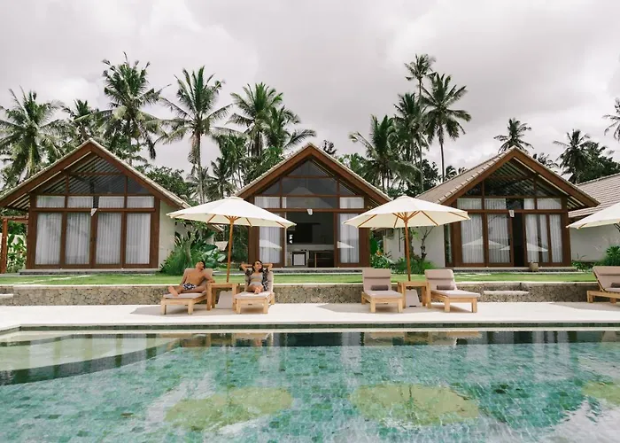 Palmterrace Chulik